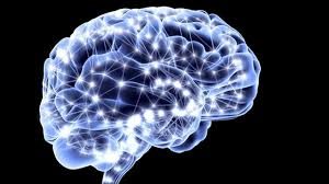 Neuromarketing y venta