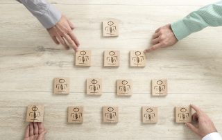 Elementos de la organización comercial