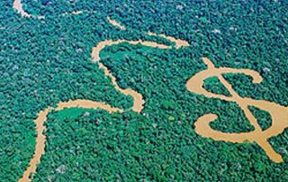 ecología y economía