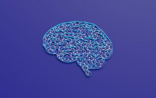 neurociencia y productividad